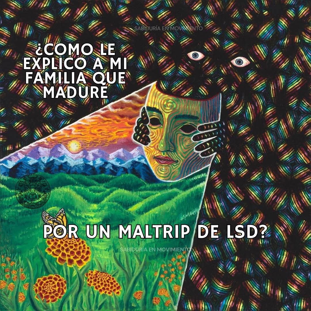 Weedmexique's tweet photo. #Weedlovers #WeedCommunity #Mx #Lsd #Fifi #Polvo #Perez #Lcd #Ajos #Cuadros #Cuaderno #Mota #Hierba #Cannabis #Flores #Peri #Mdma #Nenas #Pase #Vapes #Ele #Wax #Pluma #Conecte #DrugTwt #Comestibles #Grifos #Marihuana #Envios hasta las 8 pm 🤪📩 #Menu #Dm #Express #Garantia 🍄🍁 https://t.co/HfYh9vdGxh