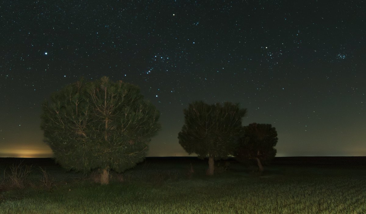 vep culleré tweet media