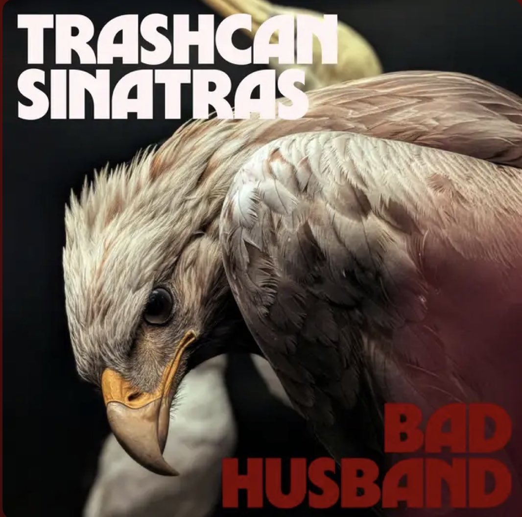 JayneMoobs's tweet photo. How lovely is this tune from @TheTrashcans and @Juniortcampbell that sweet sound and gorgeous vocals, a perfect collab! 

https://t.co/zn9Q4vBb58 https://t.co/FRMgvzv3Lx