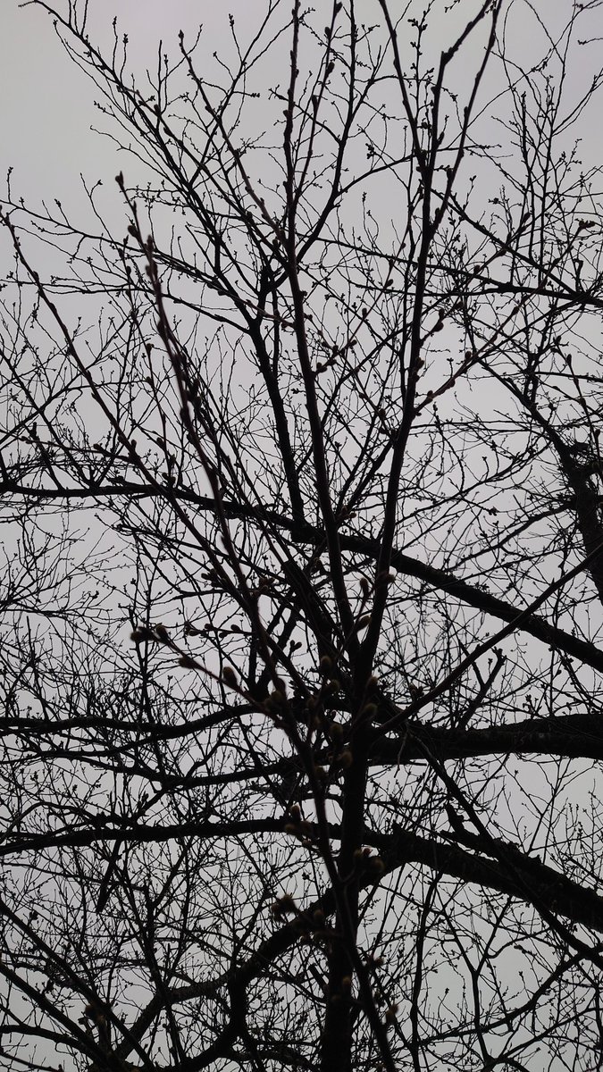 ぼっこ🥐🥖🥯💕 tweet media