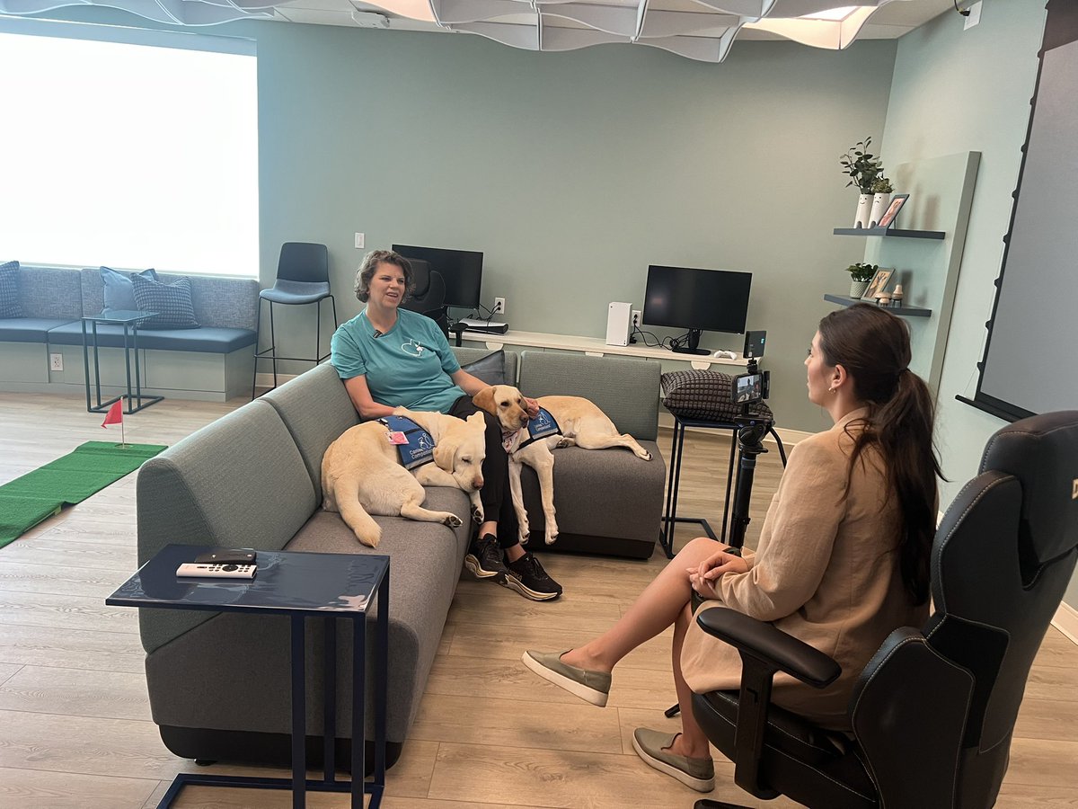 Danielle Dascalos tweet media