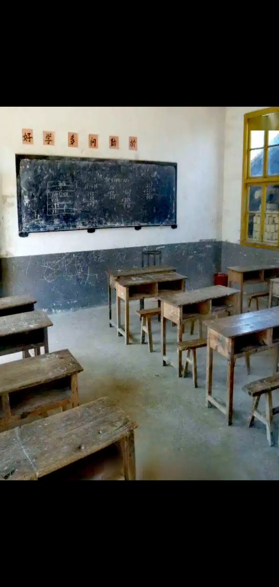 Emma Haley tweet media