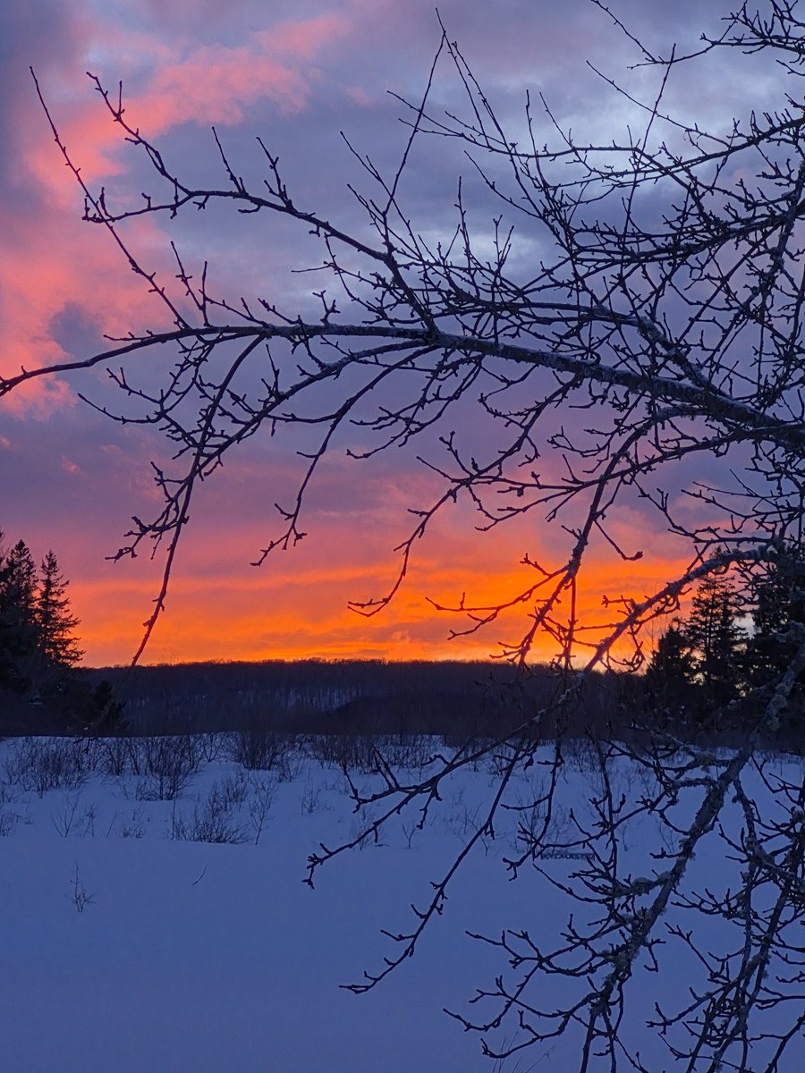 Beverly Fraser🇨🇦 tweet media