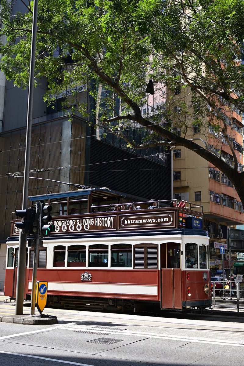 佐敦哥哥 tweet media