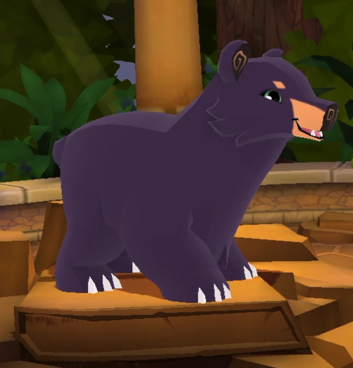 Bear Of The Day! tweet media