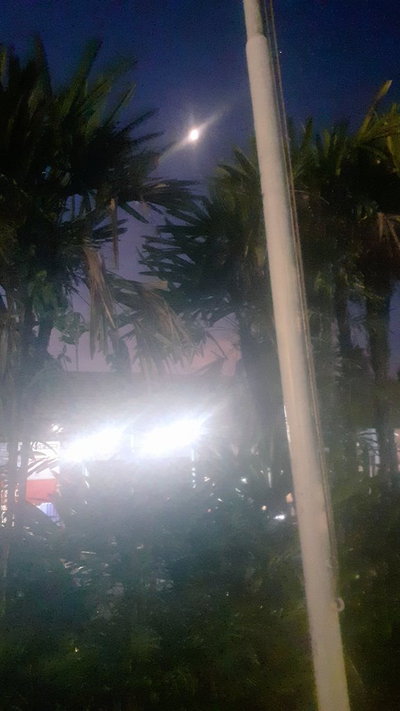 ♋ Ritsu 🇯🇵 光の人👑 tweet media