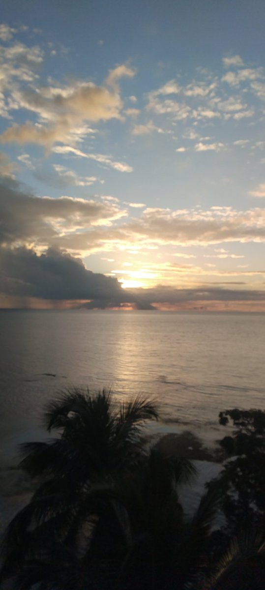 José Antonio tweet media