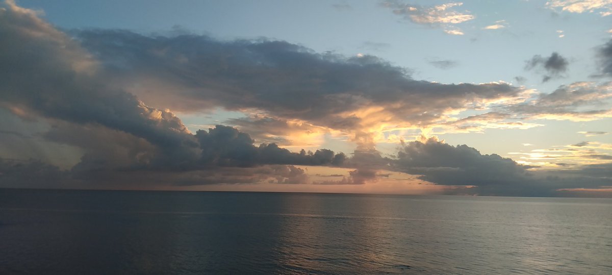 José Antonio tweet media