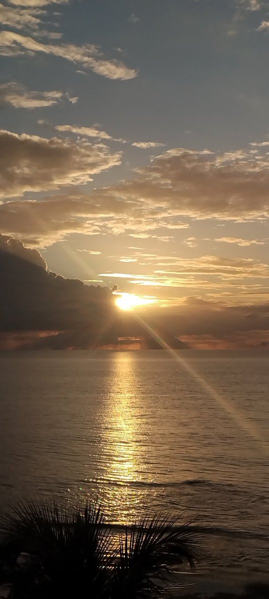 José Antonio tweet media