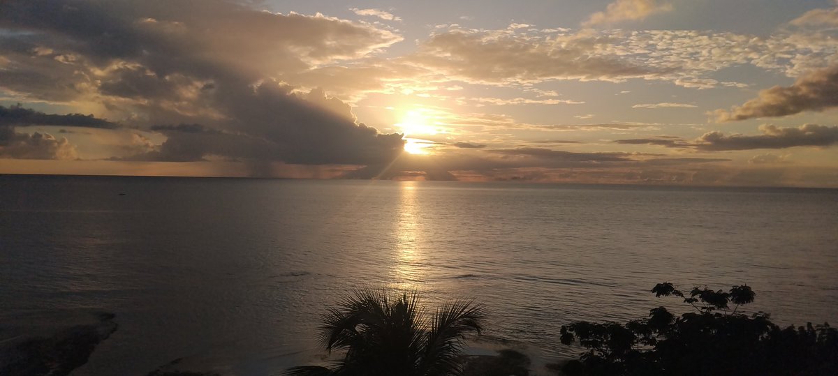 José Antonio tweet media