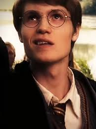 Steve's Law 🇬🇧 tweet media