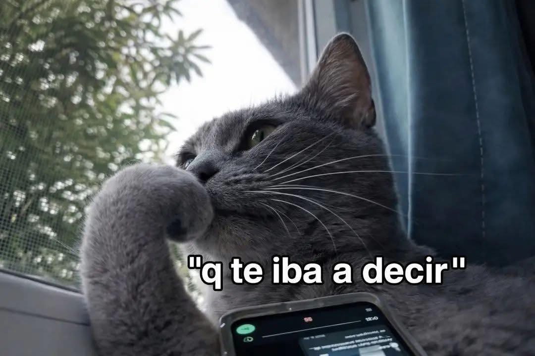 Yo en la mitad del audio que estoy mandando.