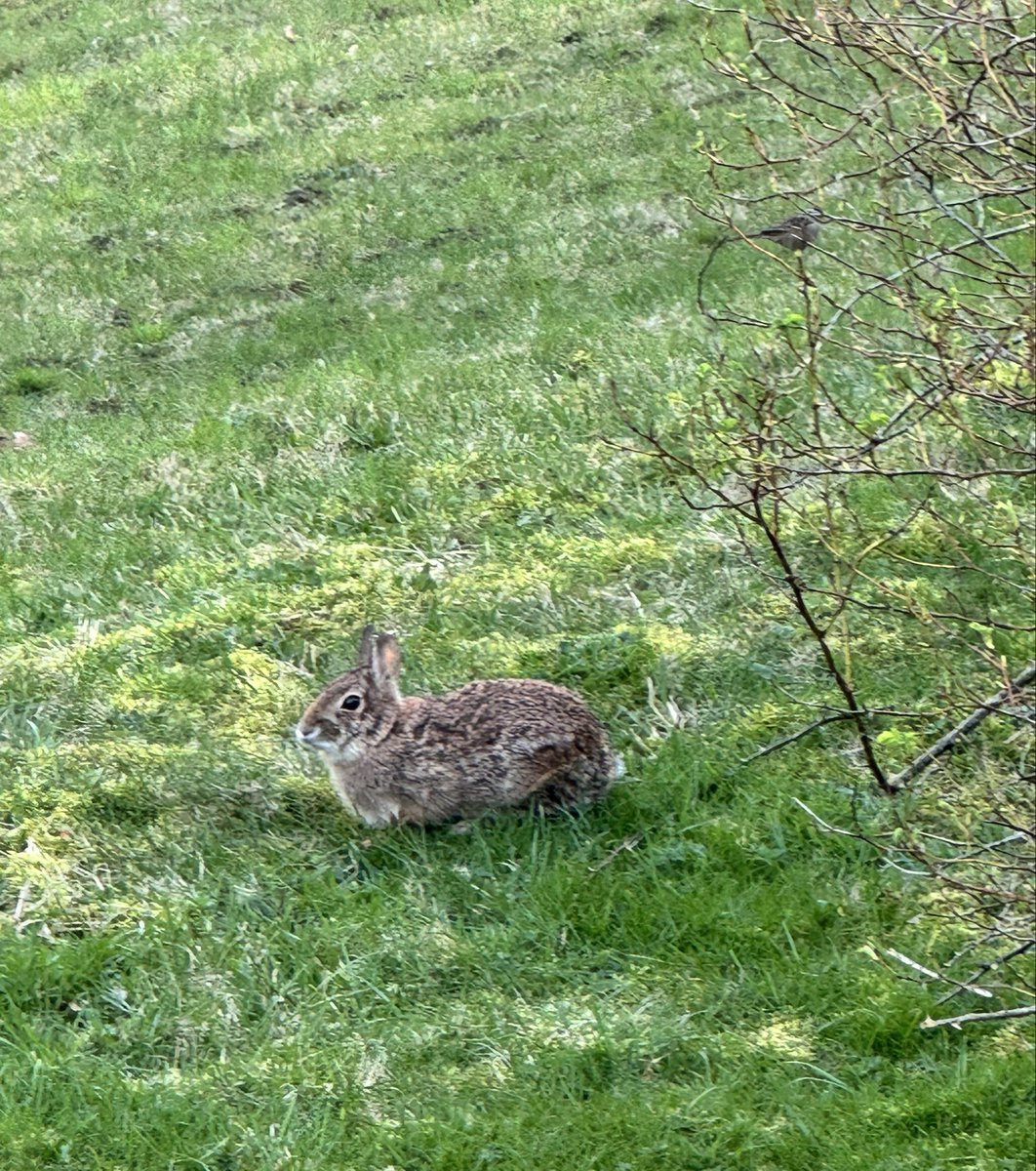 Tammy Blakley tweet media