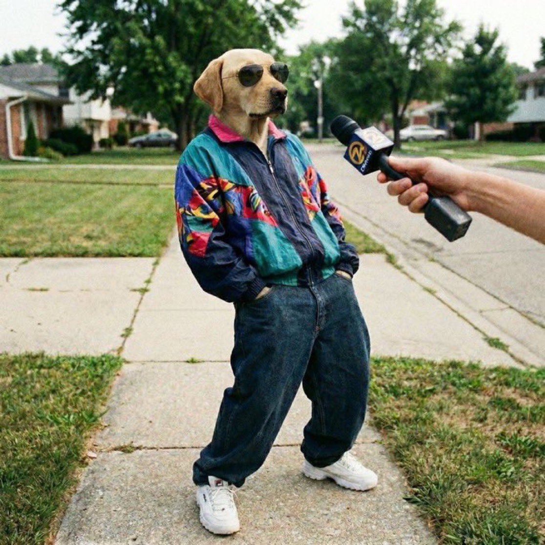 Cold_crypt0💎($DOG Arc) tweet media