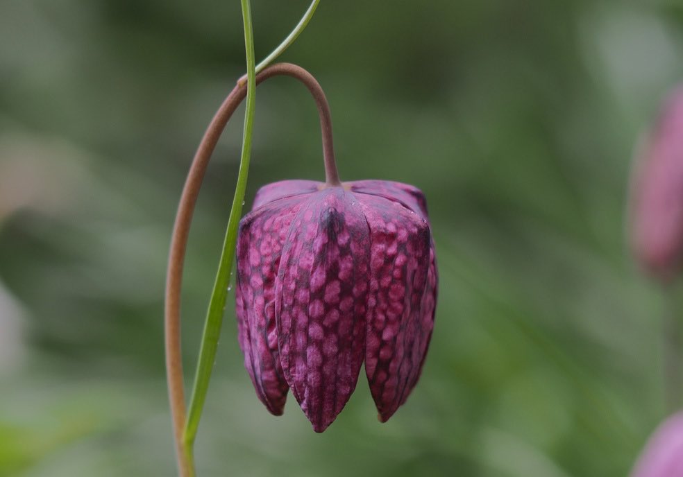 Peter James tweet media