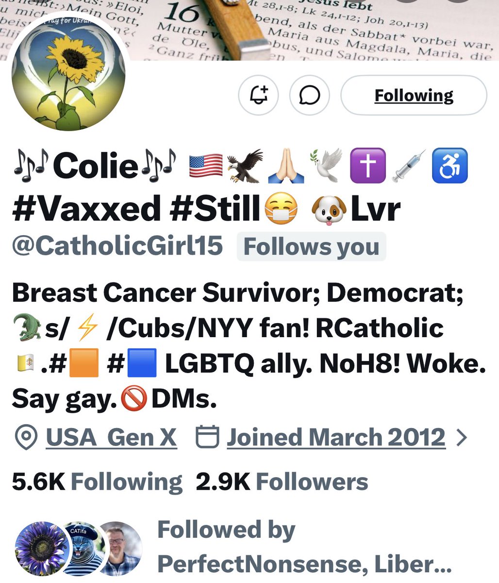 Turquoise Cat tweet media