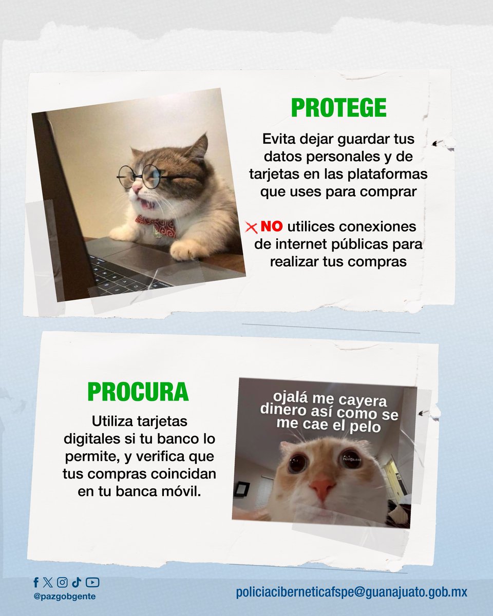 pazgobgente's tweet image. 📲🛍️ ¿Harás compras en línea? Toma en cuenta estos consejos para proteger tu bolsillo y tranquilidad.

📞 Reporte 089 | Emergencias 9-1-1
#CONFIA #GuanajuatoenPaz #GobiernodelaGente #ComprasenLínea