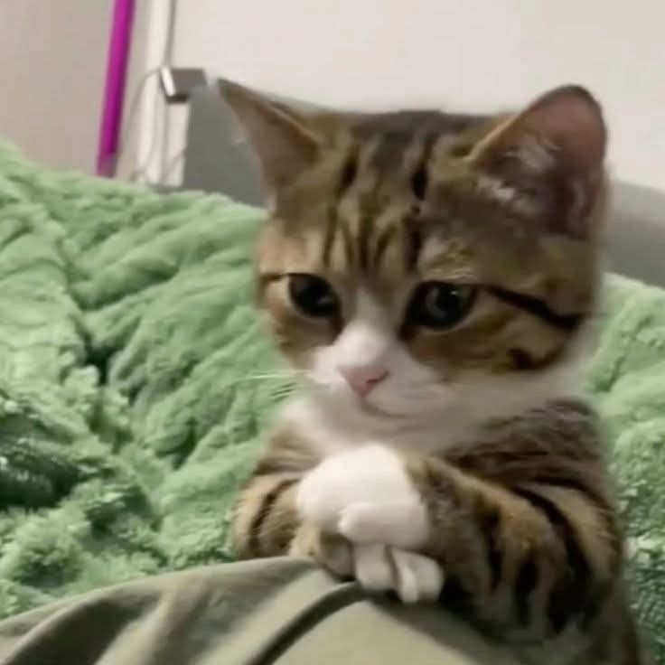 𝐍𝐚. tweet media