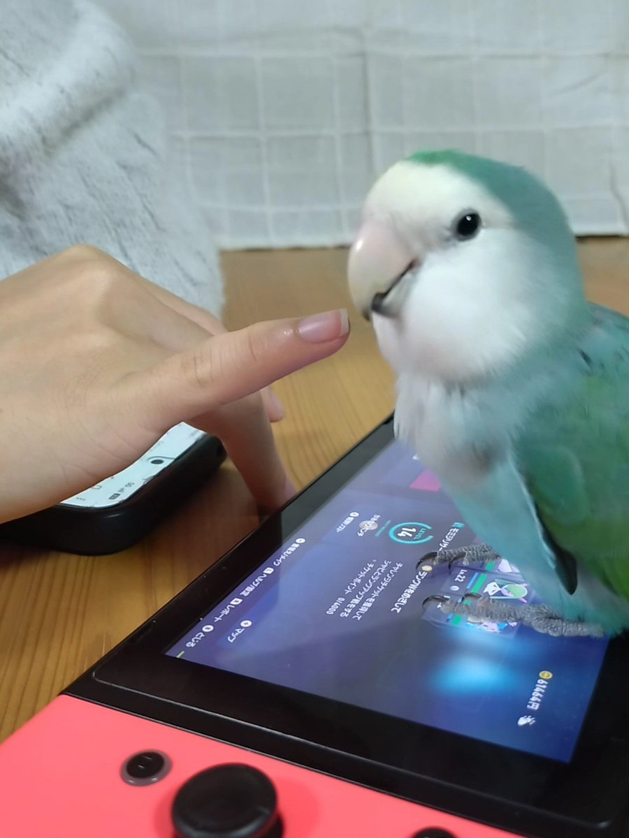 ふふふ
これでゲームはできないでつよ