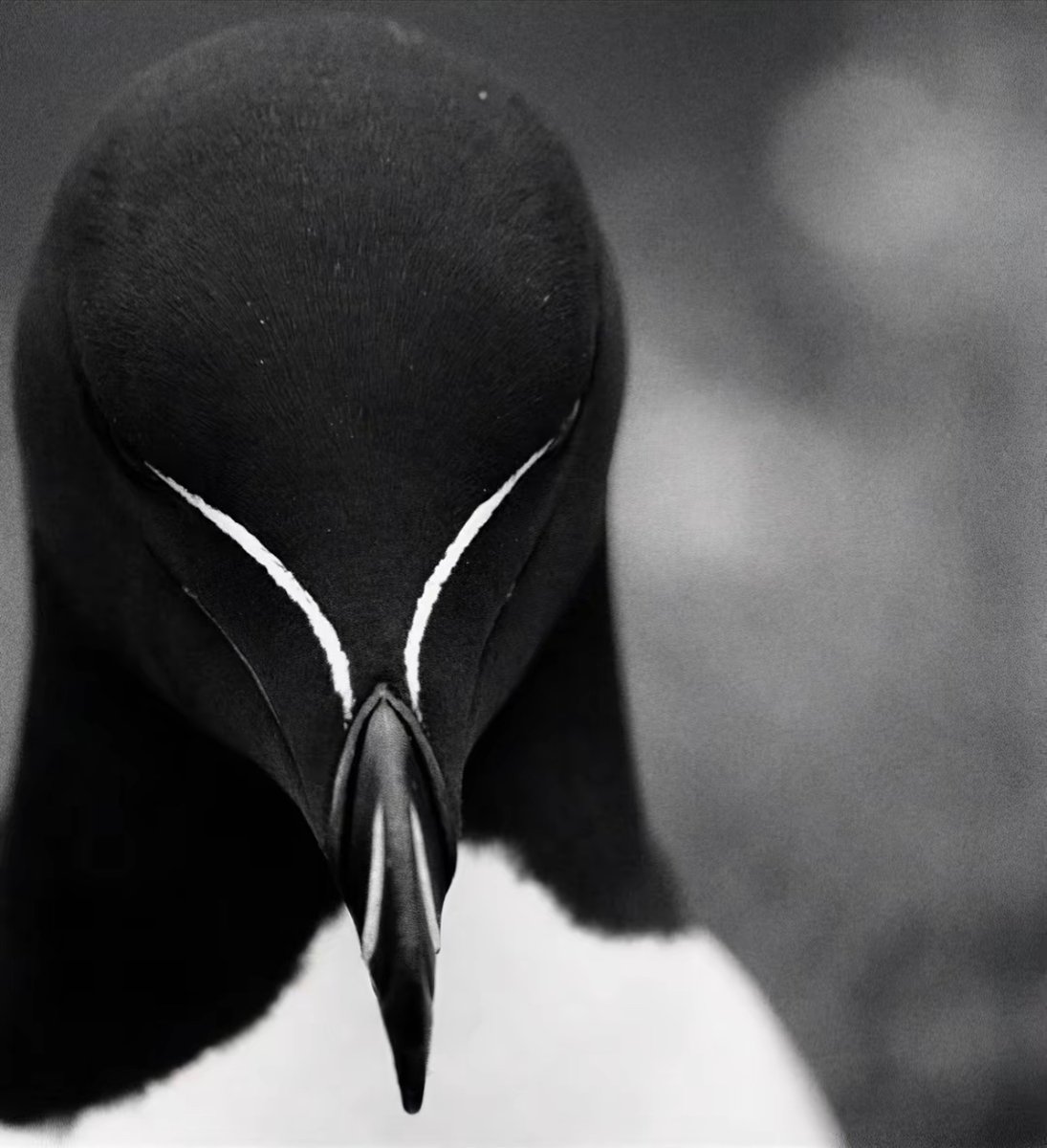 شمس🪷 tweet media