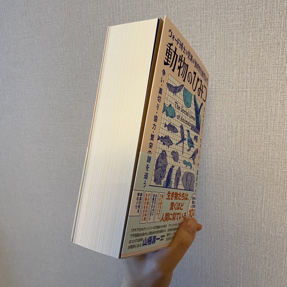 厚みを見た時に、4,000円かな…と思ってお値段を確認したら、
2,000円で、

「き、きみ！今すぐうちに来なさい！」と連れて帰ってきた本です。