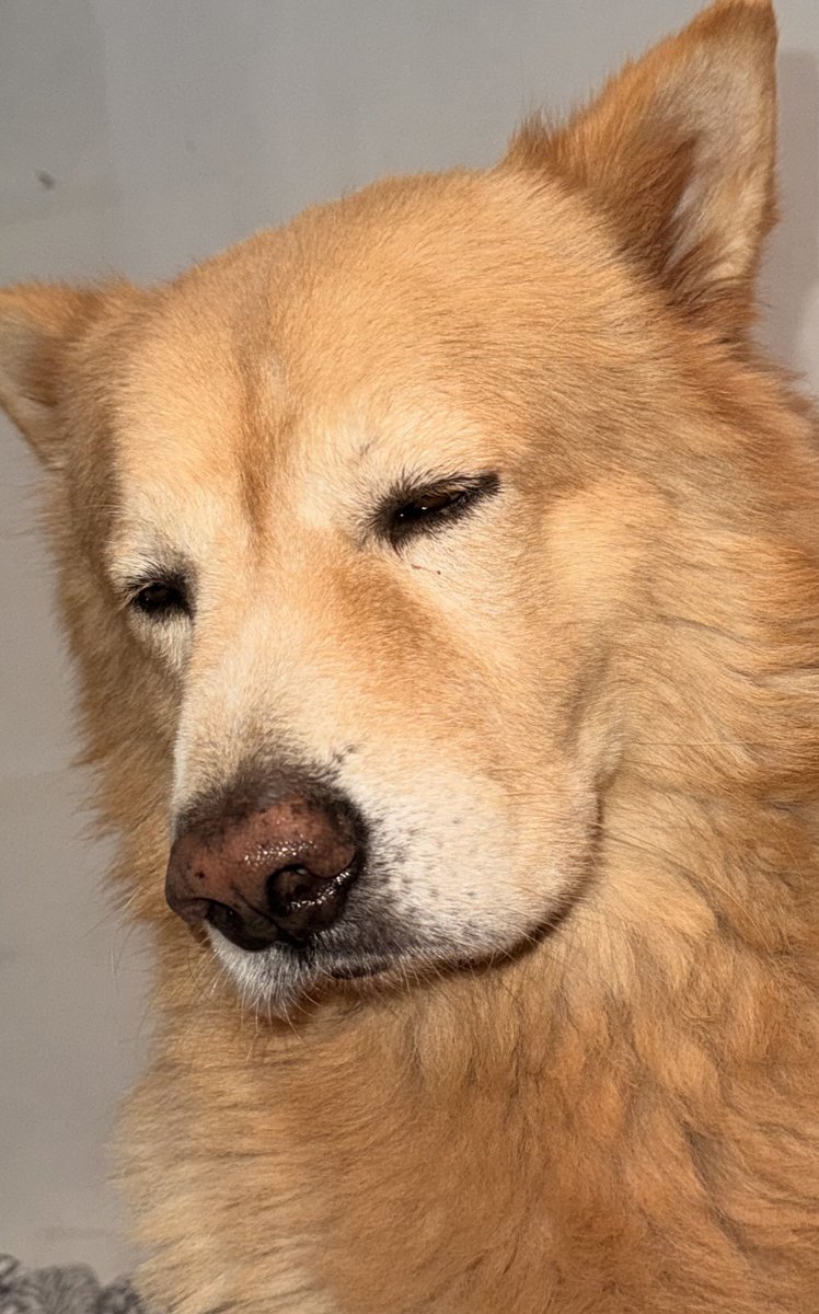 Edits✍️ tweet media