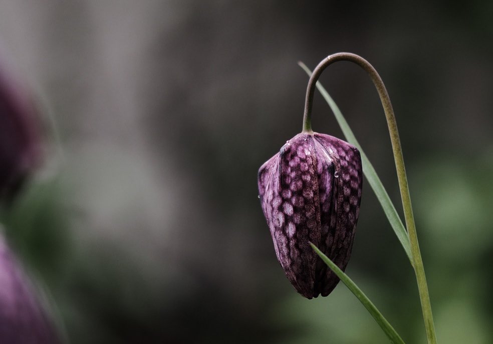 Peter James tweet media