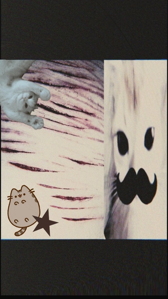 Борис.°+ ꒰🪦🚬꒱ ``.°♪ tweet media