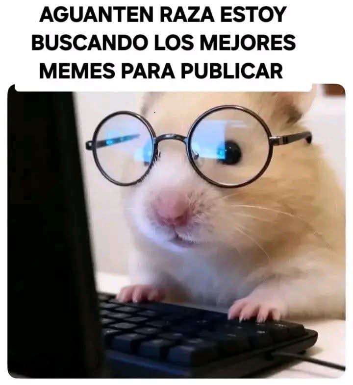 TuziBotMemes🤪😂🤣 tweet media