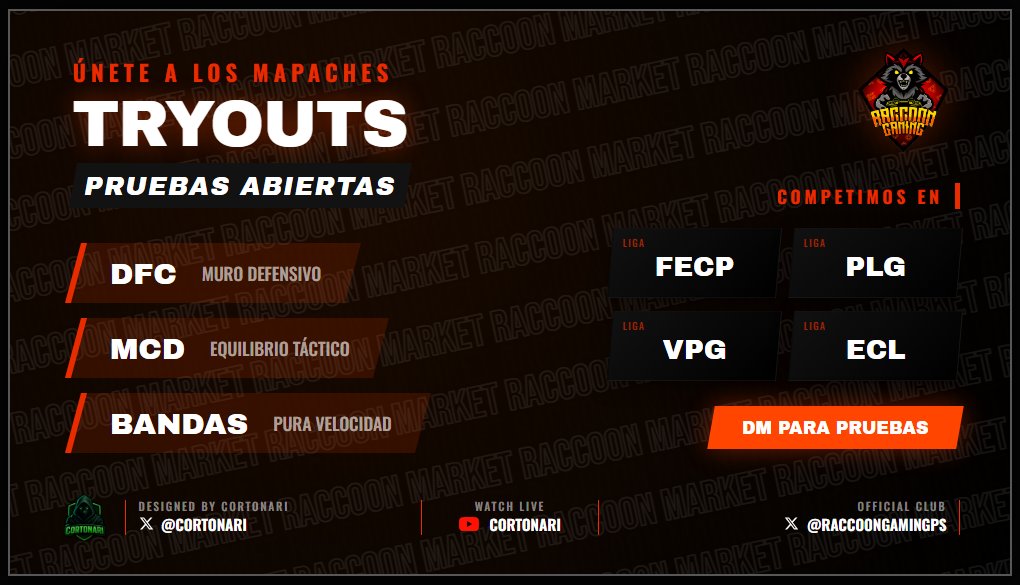 Raccoon Gaming tweet media