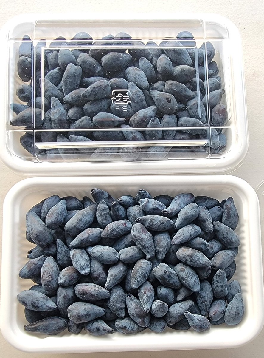 ハスカップファーム山口農園 tweet media