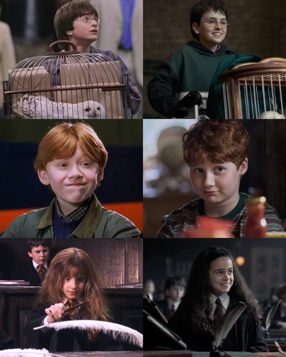 Club Potterhead. tweet media