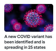 Admiral Mighty Buffoon tweet media