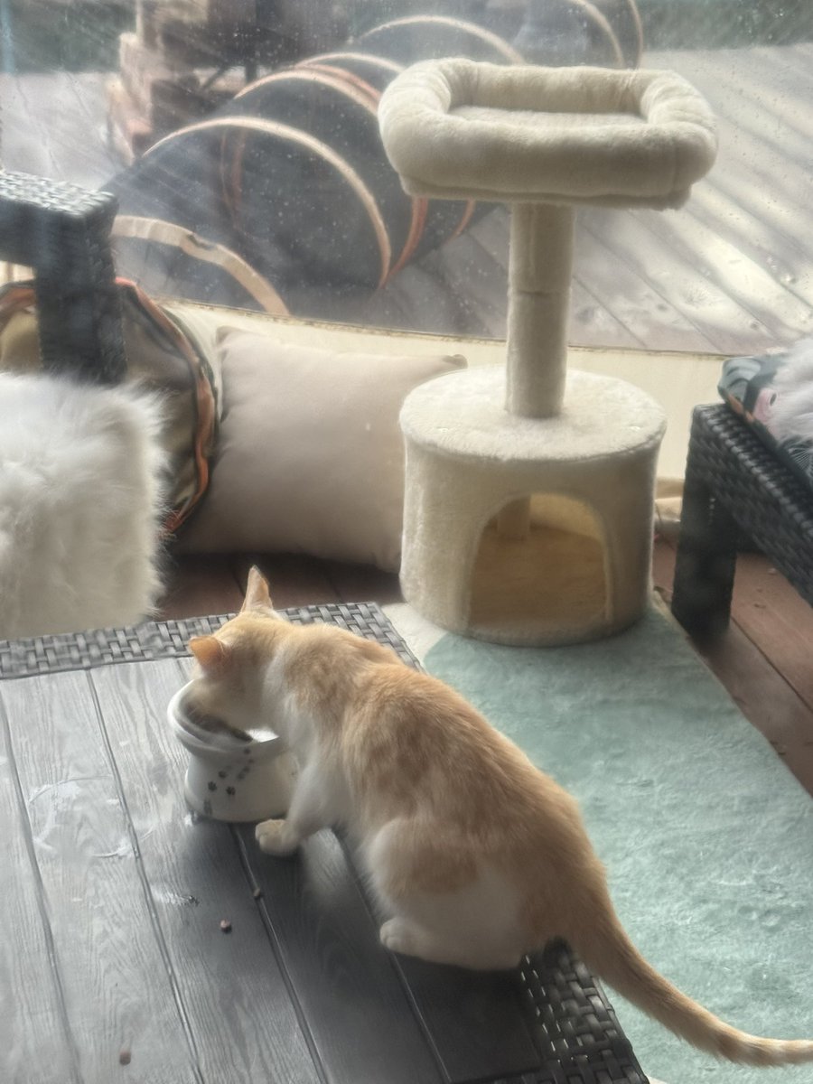 Macha_Zo tweet media