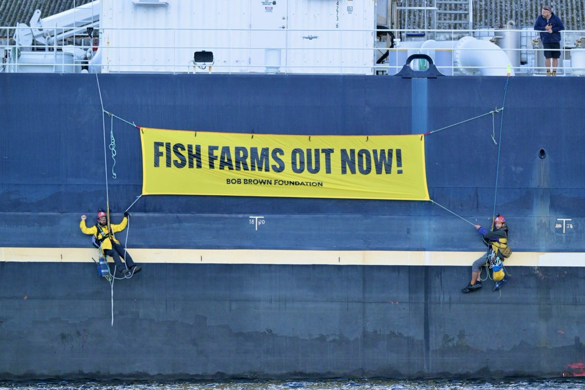 Bob Brown Foundation tweet media