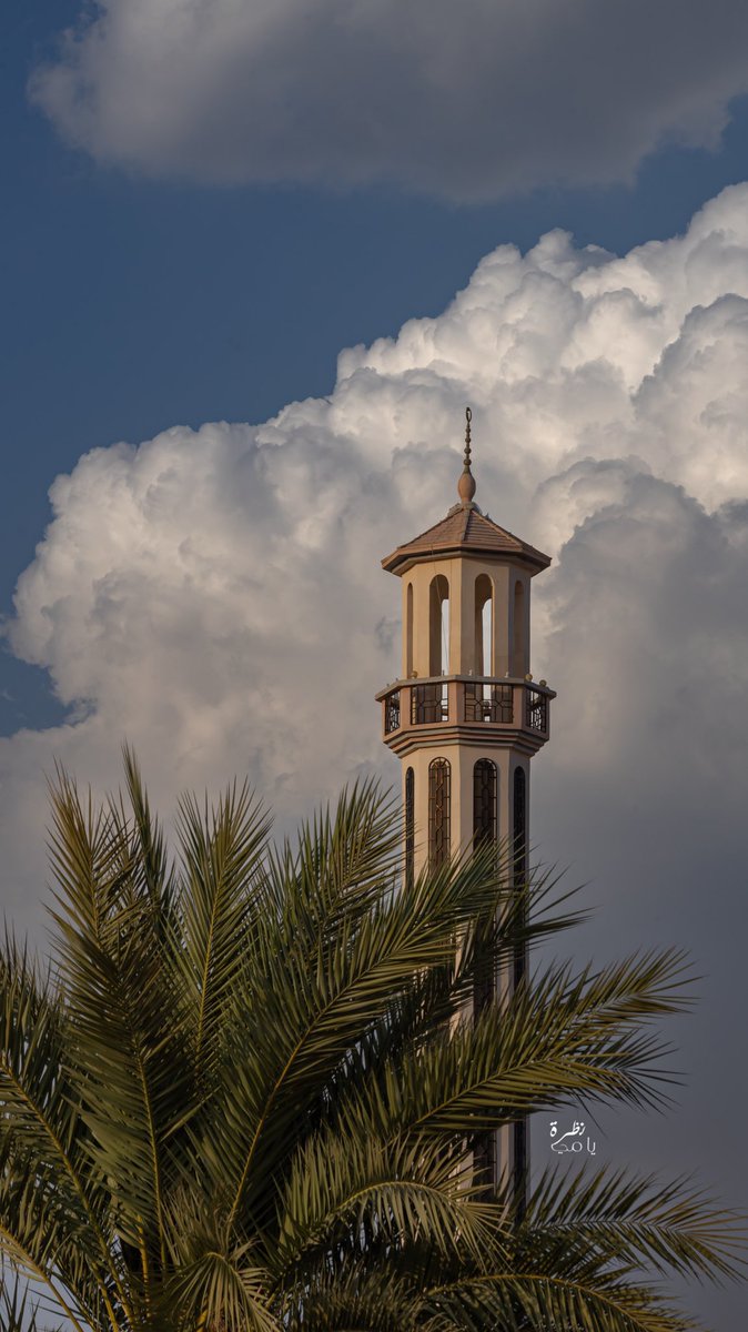 هامورة tweet media