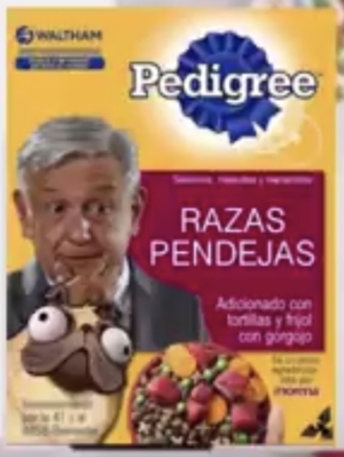 ubigall's tweet photo. @julioastillero Ya te ganaste tus croquetas del bienestar!!!… gracias por promover el lavado de dinero típico de los Morenarcos y su T de 4a. https://t.co/Oy99JYXvxq