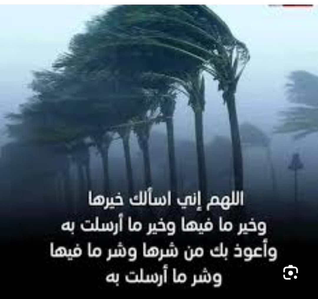 ☁️💨

من دعاء الريح

(اللهم إني أسألك خيرها، وخير ما فيها، وخير ما أرسلت به، وأعوذ بك من شرها، وشر ما فيها، وشر ما أرسلت به) .

✒️مسلم، واللفظ له، ٢/ ٦٦٦، برقم ٨٩٩، والبخاري، ٤/ ٧٦ برقم ٣٢٠٦، ورقم ٤٨٢٩ .

🌸🍃