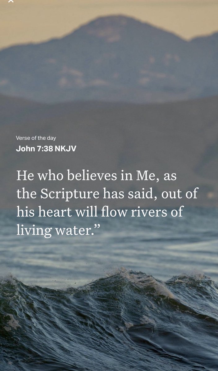 Salt & Light 💡💡💡 tweet media