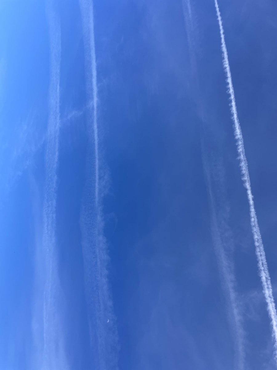 2ndfor1st tweet media