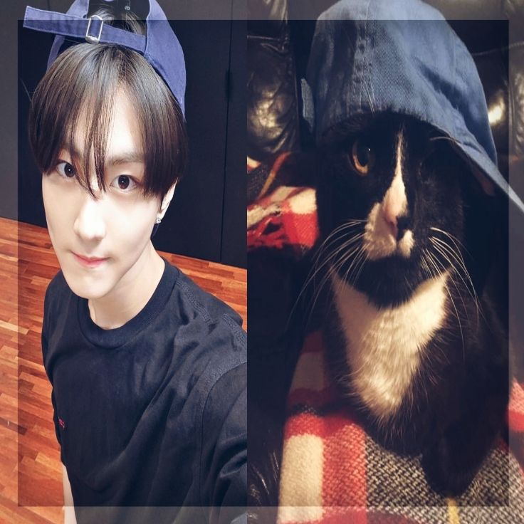 leth 𝜗ৎ | ENHYPEN is sevEN tweet media