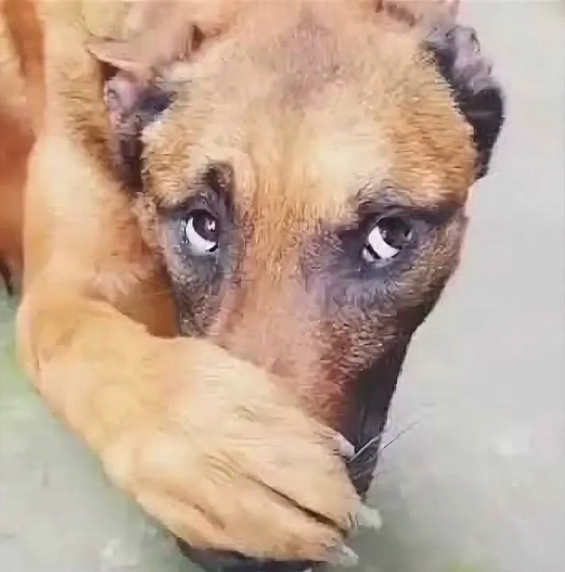 saintwithoutgod tweet media