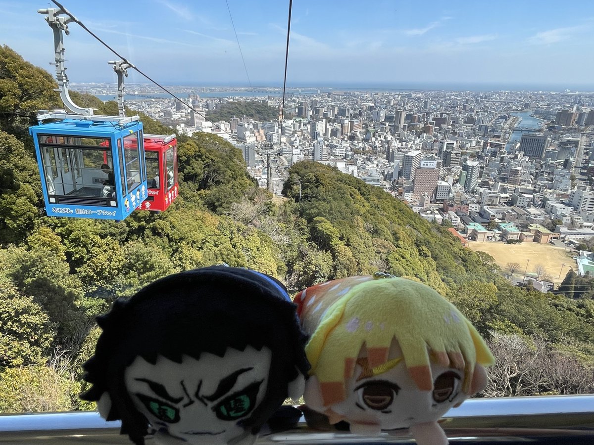 とどを🥼 tweet media