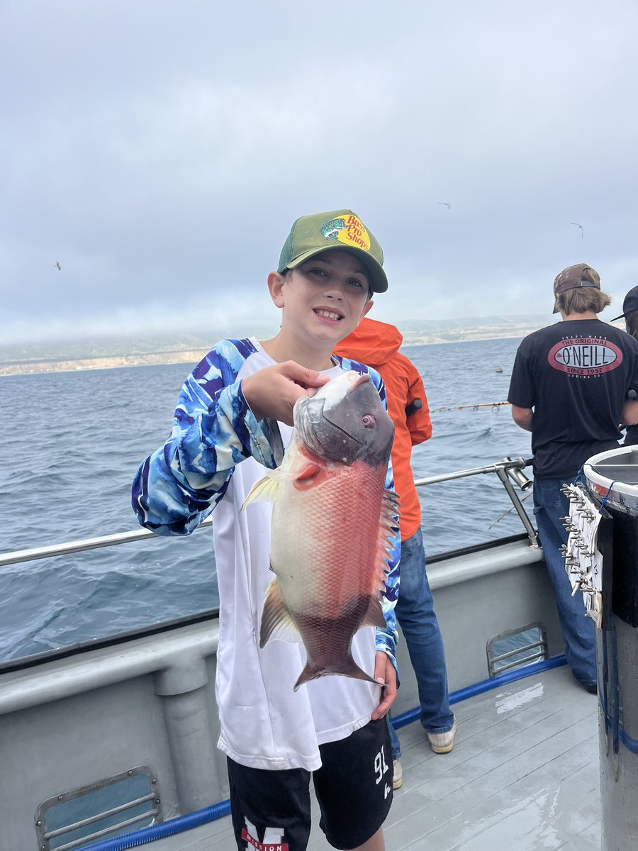 FishDanaWharf tweet media