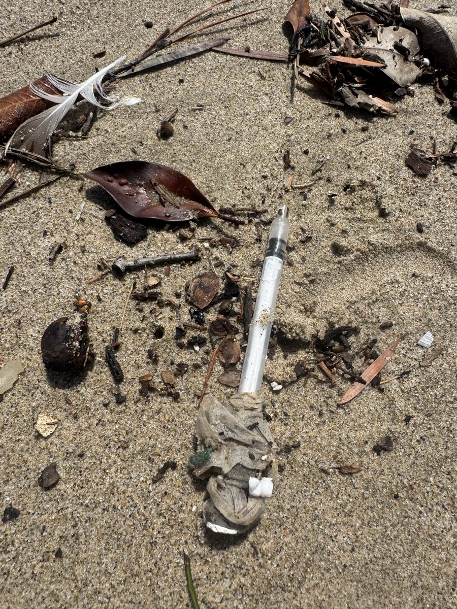 Jeffrey Scott Seavey tweet media