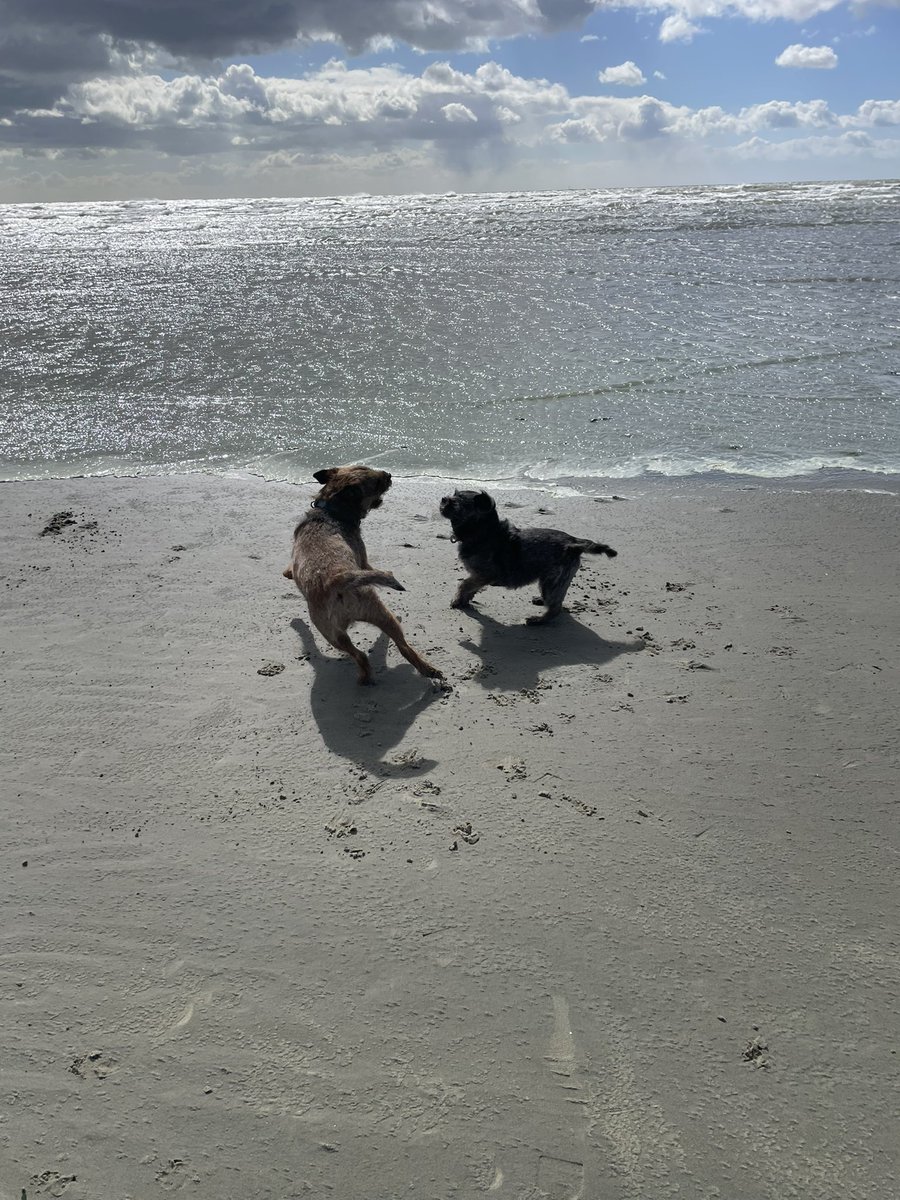 @BruffBT 🇺🇦 tweet media