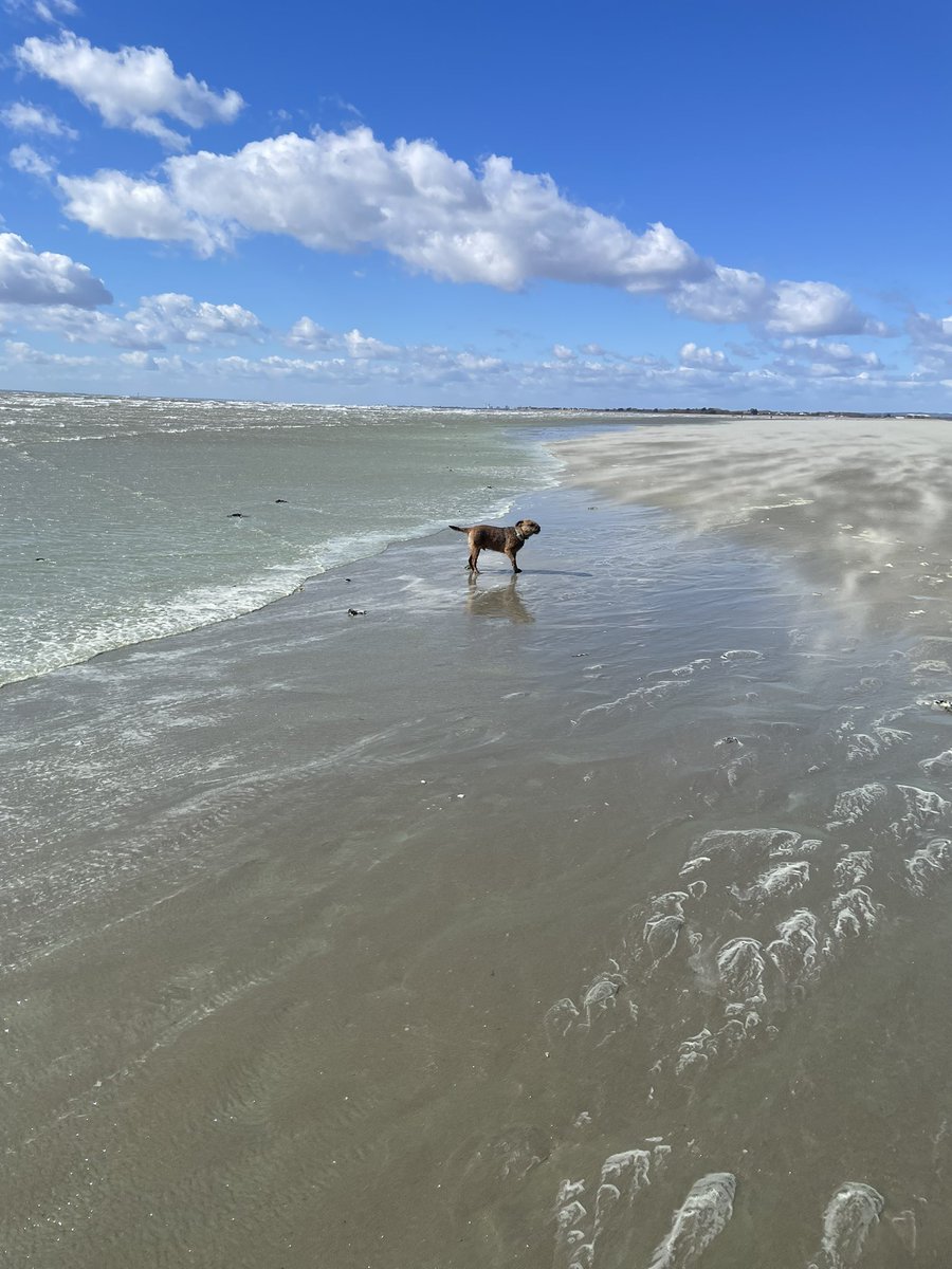 @BruffBT 🇺🇦 tweet media