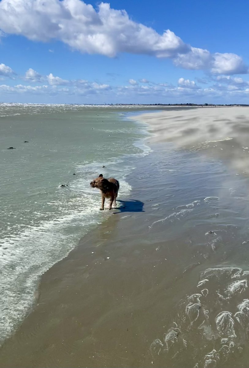 @BruffBT 🇺🇦 tweet media