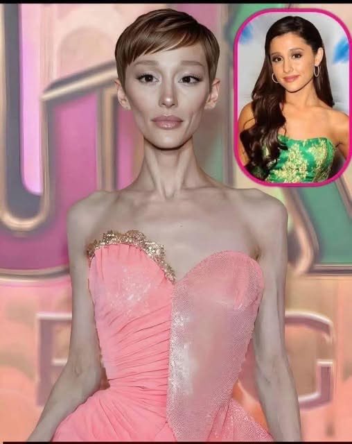 Meme Wars tweet media