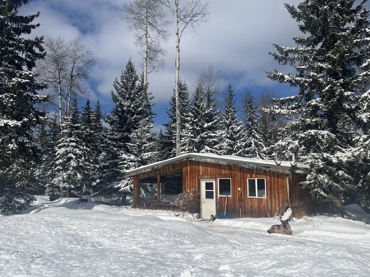 Gridlessness tweet media